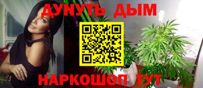 сатива Дубна