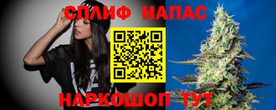 сатива Дубна